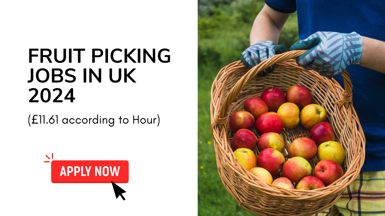Fruit picking Jobs in uk 2024 (£11.61 according to Hour)