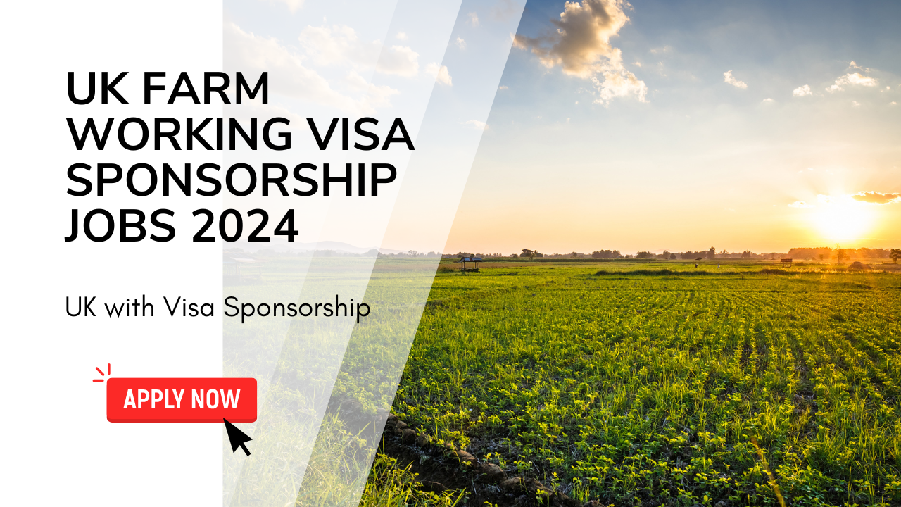 UK Farm Working Visa Sponsorship Jobs 2024 (UK Farm Jobs)